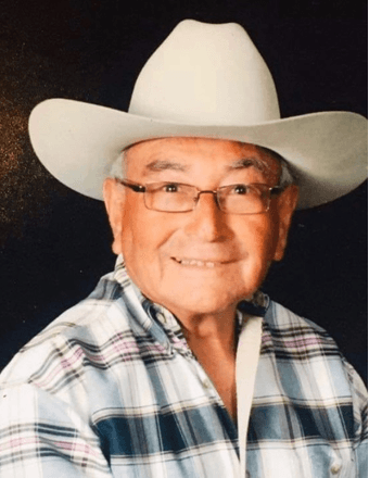 Alfredo E. Perez, Jr. Obituary