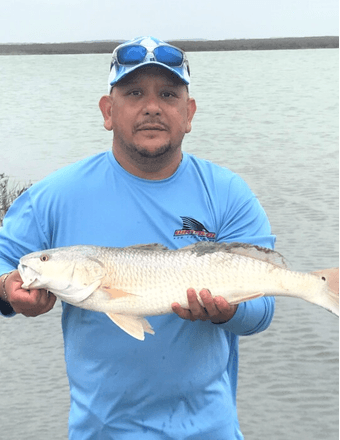 Jose (Joe) Chapa, Jr. Obituary